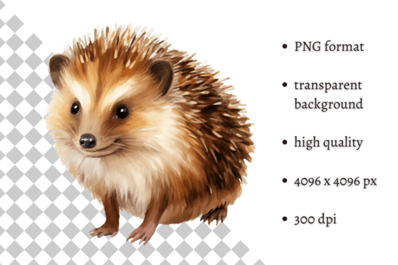 Download Watercolor Woodland Hedgehog PNG Clipart - Wood Collection