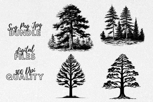 Download Pine Tree SVG - Trees Clipart - Tree svg Collection