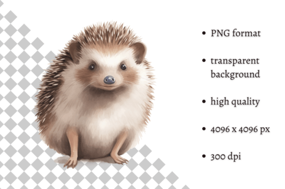Download Watercolor Woodland Hedgehog PNG Clipart - Wood Collection